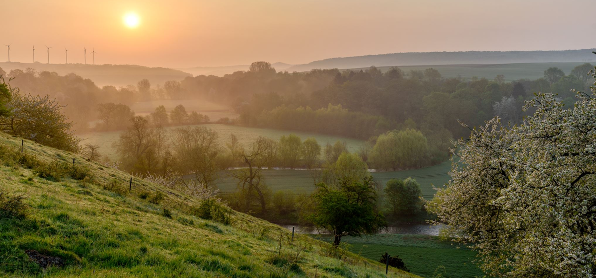 Sonnenaufgang über einer nebligen Landschaft mit Hügeln, Bäumen und Windrädern im Hintergrund.